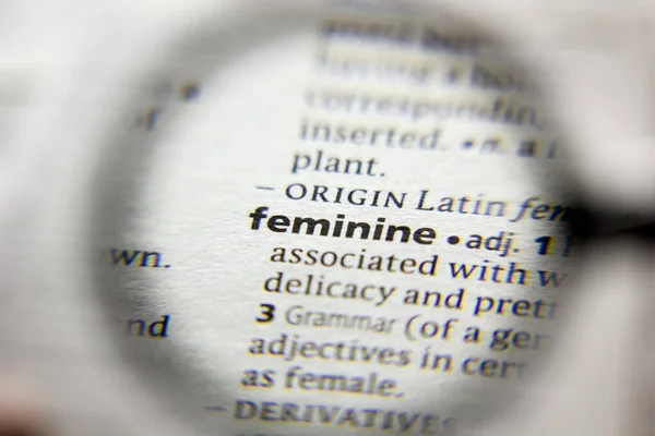 Word Phrase Feminine Dictionary — Stock Photo, Image