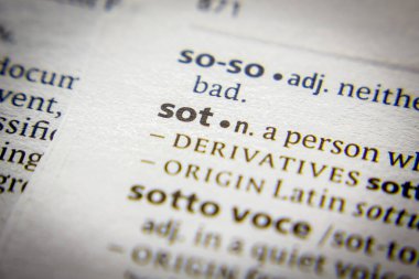 Sözcük ya da cümle Sözlükte Sot