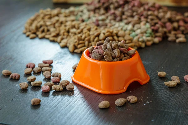 Alimentos Para Animais Estimação Tigela Para Gato Cachorro — Fotografia de Stock