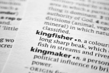 Sözlükte Kingfisher sözcüğü ya da cümlesi