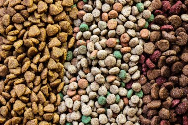 Kuru hayvan maması arka planının üst görünümü.