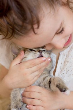 Küçük kız sevimli gri bir kedi yavrusu besliyor..