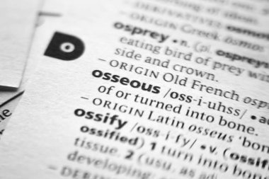 Sözlükte Osseous sözcüğü veya ifadesi