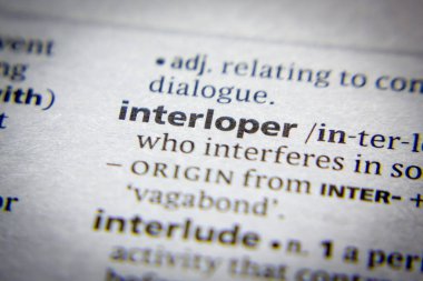 Sözlükte bir sözcük ya da cümle Müdahaleci