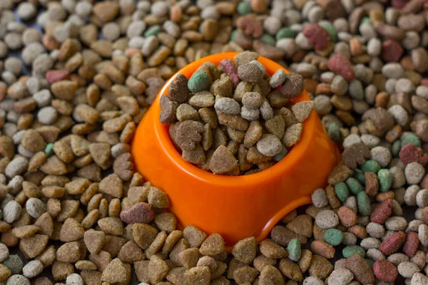 Oranje Plastic Schaal Gevuld Met Droog Voeder Voor Gezelschapsdieren Omringd — Stockfoto