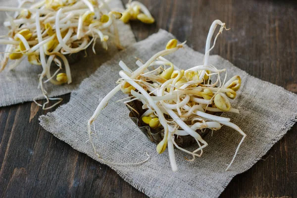 Soybean sprouts. Table with soy bean sprouts on it