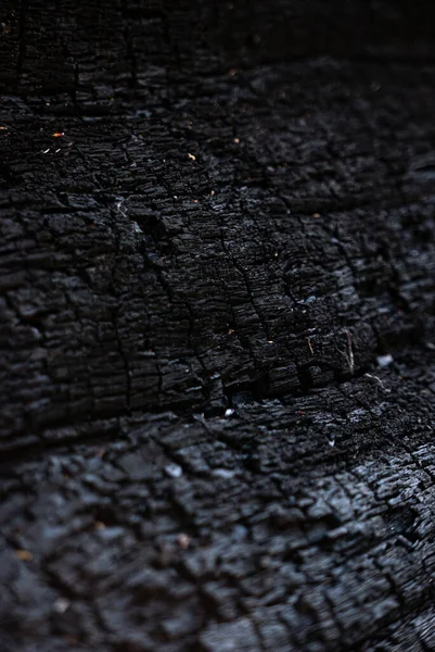 Brote Textura Árbol Quemado Después Del Fuego Una Madera — Foto de Stock