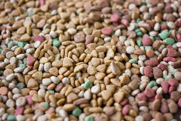 Fondo Alimentos Para Mascotas Secos Una Gran Cantidad Piezas Comida —  Fotos de Stock