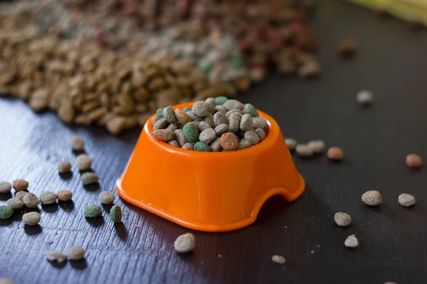 Tigela Plástico Com Alimentos Secos Para Animais Estimação Placa Madeira — Fotografia de Stock