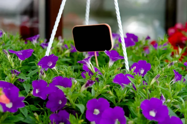 Fiori Con Cartellino Del Prezzo Sul Negozio Fiori Strada — Foto Stock