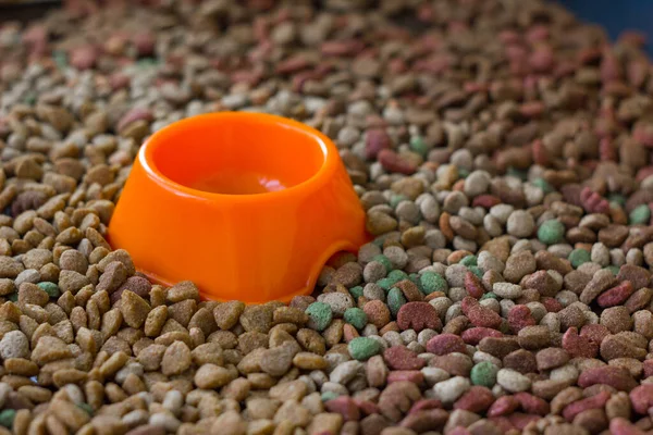 Cuenco Plástico Vacío Rodeado Comida Seca Para Mascotas —  Fotos de Stock