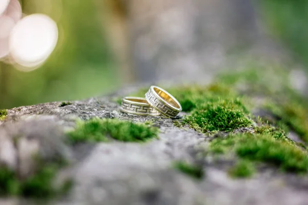 wedding rings on tree with green moss