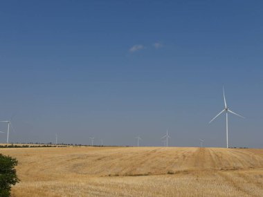 Altın ekinleri ve mavi ufku olan tarım arazisindeki çevre dostu rüzgar santrali..