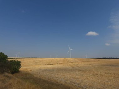 Rüzgar türbinleri yaz mevsiminde tarımsal sarı arazi üzerinde dönüyor..