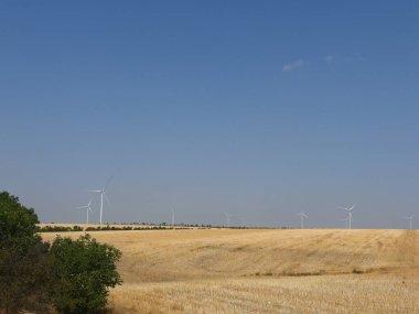 Altın kırsal alanda yenilenebilir rüzgar türbinleri, sürdürülebilir enerji üretimi.