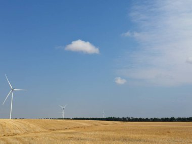 Kırsal alanda altın tarlalı elektrik üretimi için yel değirmenleri.
