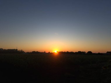 Turuncu ve mavi gökyüzü gradyanı, huzurlu kırsal akşam manzaralı kuru bir mısır tarlasının üzerinde güzel bir günbatımı..