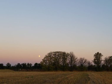 Gün batımında sakin kırsal çayır siluetinde ağaçlar ve ufukta ay var..