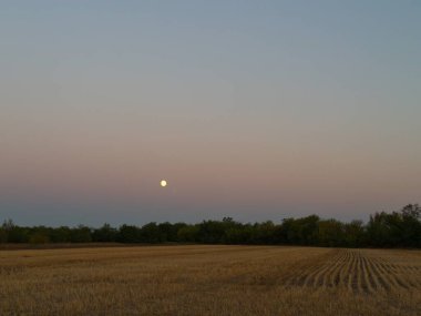 Kırsal alan manzarası alacakaranlıkta geniş açık alan, ağaç hattı ve akşam ay ışığı ile.