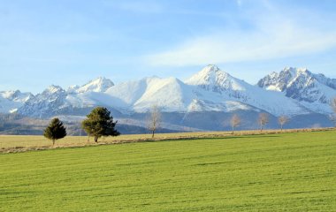 Slovakya 'nın High Tatras kentindeki güneşli bir bahar gününde sakin bir dağ manzarası. Yeşil bir çayır ön planda uzanır, bir sıra ağaca ve açık mavi gökyüzünün altında yükselen karla kaplı tepelere uzanır.