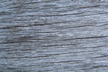 Kabuk arka plan ağaç doku, ahşap arka plan doku, kapatmak