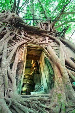 Samut Songkhram, Tayland, 18 Ağustos 2018, Bang Kung kampı, bir duvar inşa edildi, bir tapınak, Wat Kung, Bang görünmeyen Tayland yaparak güzel Buda resim bir ağaç Tapınak 