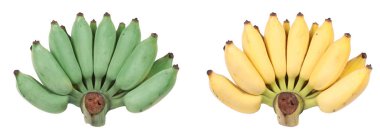 Yeşil ekili muz ile karşılaştırın izole, sarı muz beyaz arka plan üzerinde ekili.