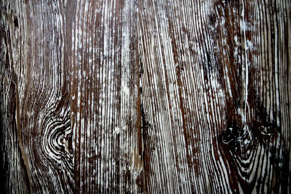 Textura de fondo de corteza, textura de árbol, fondo de madera —  Fotos de Stock