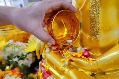 Metalik canlandırıcı ve renkli çiçek ile biraz su dökün 