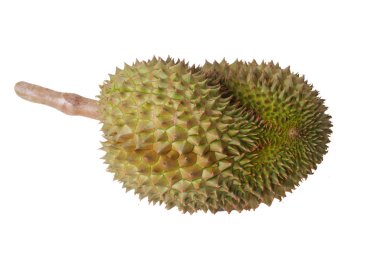 Beyaz olgun Monthong Durian hızı izole.