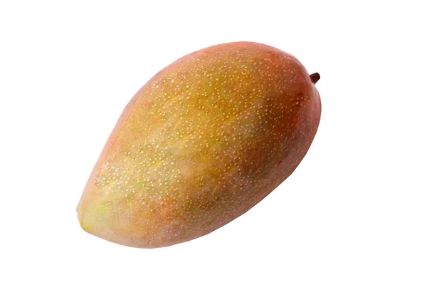 Isolated of popular fruit, Ripe night red Palmer Mango — стоковое фото