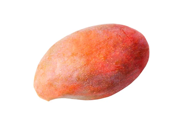 Isolato di frutta popolare, Notte matura rosso Palmer Mango — Foto Stock