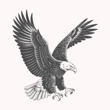 Güçlü ve görkemli bir tasarım. Bu ikonik kuşun gücünü ve özgürlüğünü yakalayan bir kartal tam gaz uçuyor. Vahşi yaşam aşıkları için ideal olan bu grafik, güzelliği kutlayan tişörtler, kıyafetler ve aksesuarlar için mükemmeldir.
