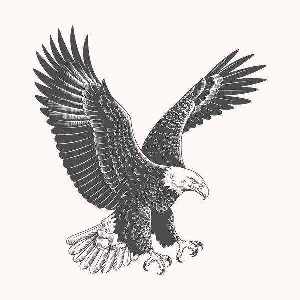 Güçlü ve görkemli bir tasarım. Bu ikonik kuşun gücünü ve özgürlüğünü yakalayan bir kartal tam gaz uçuyor. Vahşi yaşam aşıkları için ideal olan bu grafik, güzelliği kutlayan tişörtler, kıyafetler ve aksesuarlar için mükemmeldir.