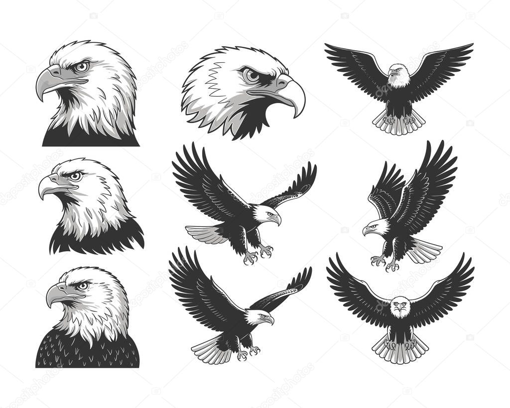 Show your patriotism with this diverse collection of eagle and American flag vector designs. Featuring various styles, from eagle heads to full-body flight poses, these graphics are perfect for t-shirt prints, merchandise, and logos with a patriotic