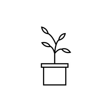 bitki simgesi illüstrasyon element tasarımı