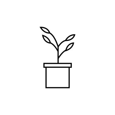 bitki simgesi illüstrasyon element tasarımı