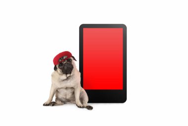 şapkası, boş kırmızı ekran ile tablet telefon yanında oturan akıllı, seyir tatlı pug köpek yavrusu üzerinde beyaz izole