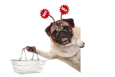 beyaz zemin üzerine kırmızı satış işaretiyle diadem giyen alışveriş sepeti tutarak mutlu gülümseyen pug köpek yavrusu, izole