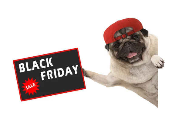 neşe pug köpek yavrusu kırmızı bere, Satılık Tabela metni siyah ile beyaz bayrak--dan yana asılı Cuma, holding ile izole