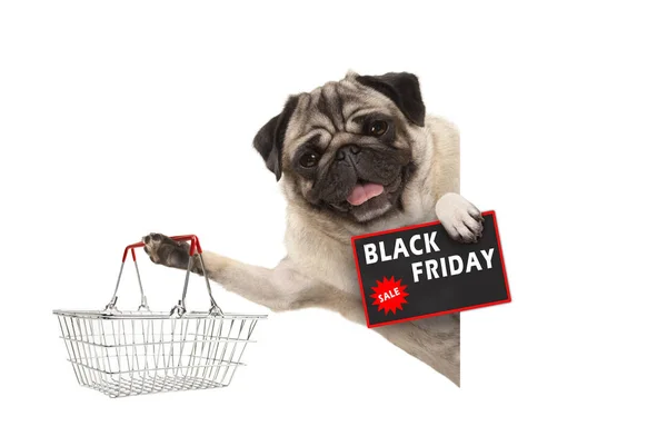 mutlu gülümseyen pug köpek yavrusu, Tel metal alışveriş sepeti ve siyah Cuma satışı işareti, izole beyaz afiş
