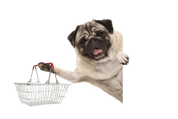 Feliz Sorrindo Cachorro Cachorrinho Pug Segurando Fio Metal Cesta Compras — Fotografia de Stock