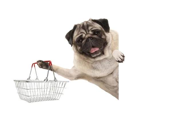 Beyaz bayrak, arkasında tel metal alışveriş sepeti gidiyor mutlu gülümseyen pug köpek yavrusu, izole