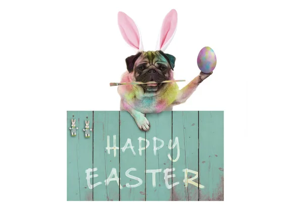 Colorful Easter Pug Dog Bunny Painting Easter Eggs Paintbrush Hanging — Stock Photo, Image