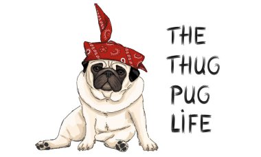 Download Pug Life Free Vector Eps Cdr Ai Svg Vector Illustration Graphic Art