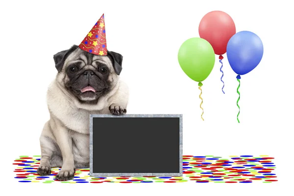 Frolic Smiling Birthday Party Pug Dog Blackboard Confetti Balloons Decoration — Stock Photo, Image