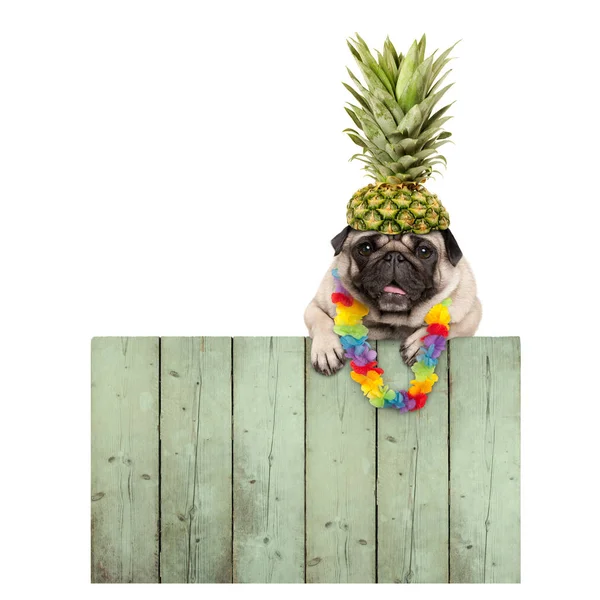 Frolic Sonriente Perro Cachorro Verano Tropical Pug Con Guirnalda Flores — Foto de Stock