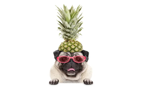 Portrait Cute Funny Frolic Summer Pug Puppy Dog Sunglasses Pineapple — Stock Photo, Image