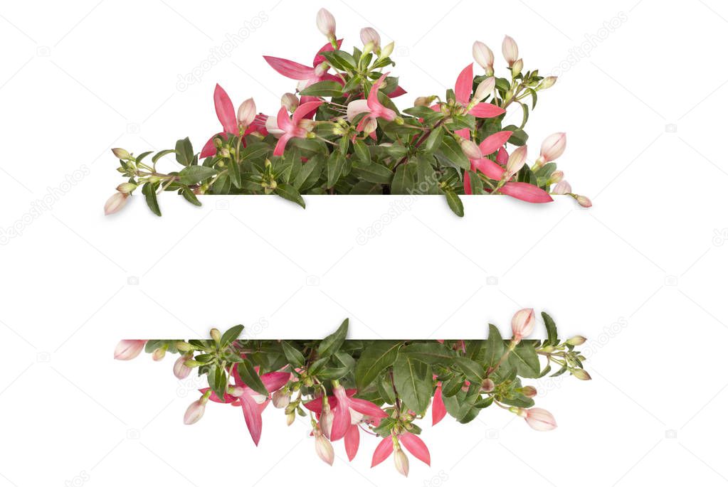 mockup flat lay of blank white banner with pink fuchsia plug plant border, isolated on white background