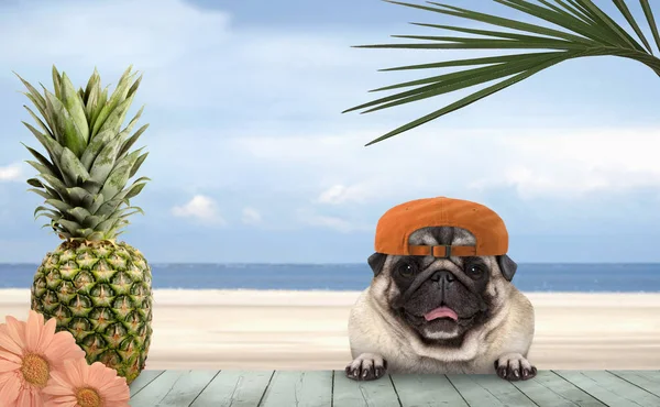 Sonriente Perro Pug Tropical Verano Con Gorra Naranja Con Patas — Foto de Stock